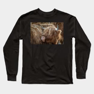 'Highland Cow Detail', near Kinloch Rannoch. Long Sleeve T-Shirt